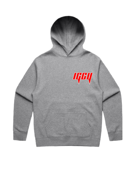 Grey & Red IGCY Hoodie